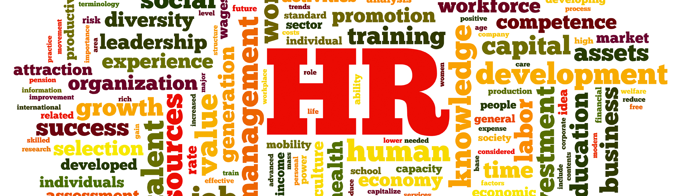 HR audit image